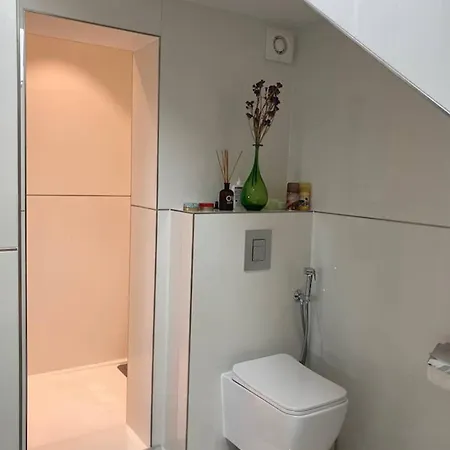 Luxueux Duplex Au Croisement Сasa de vacaciones